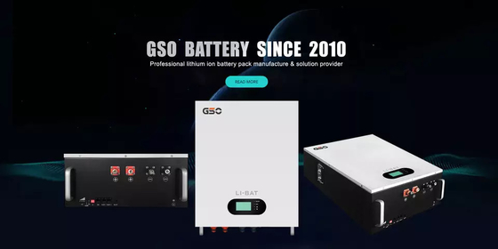 Uso montado en la pared profundo del almacenamiento del hogar de Ion Battery With BMS For del litio del ciclo 48V 200ah